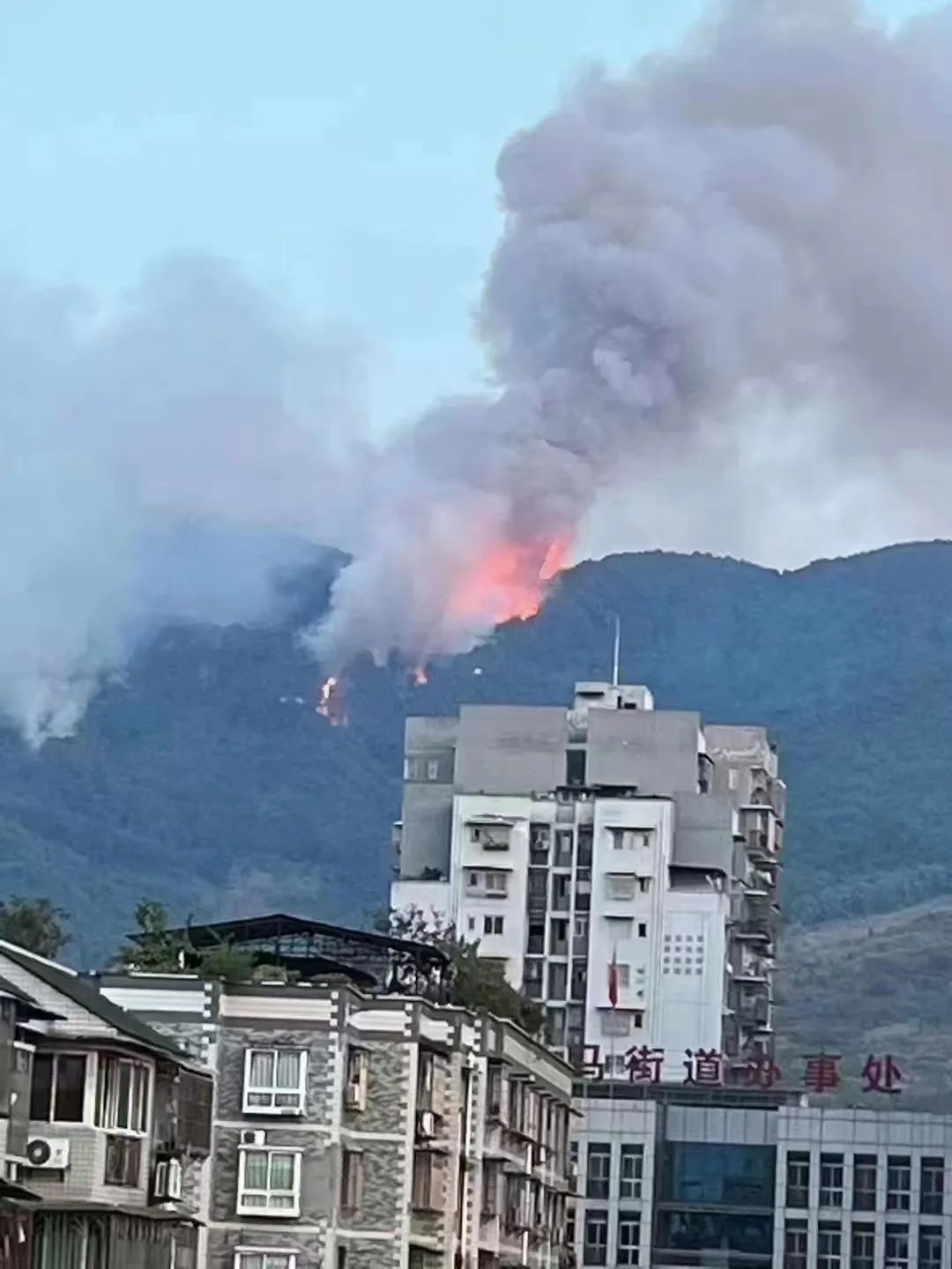 1661938390498473.jpg 640.jpg