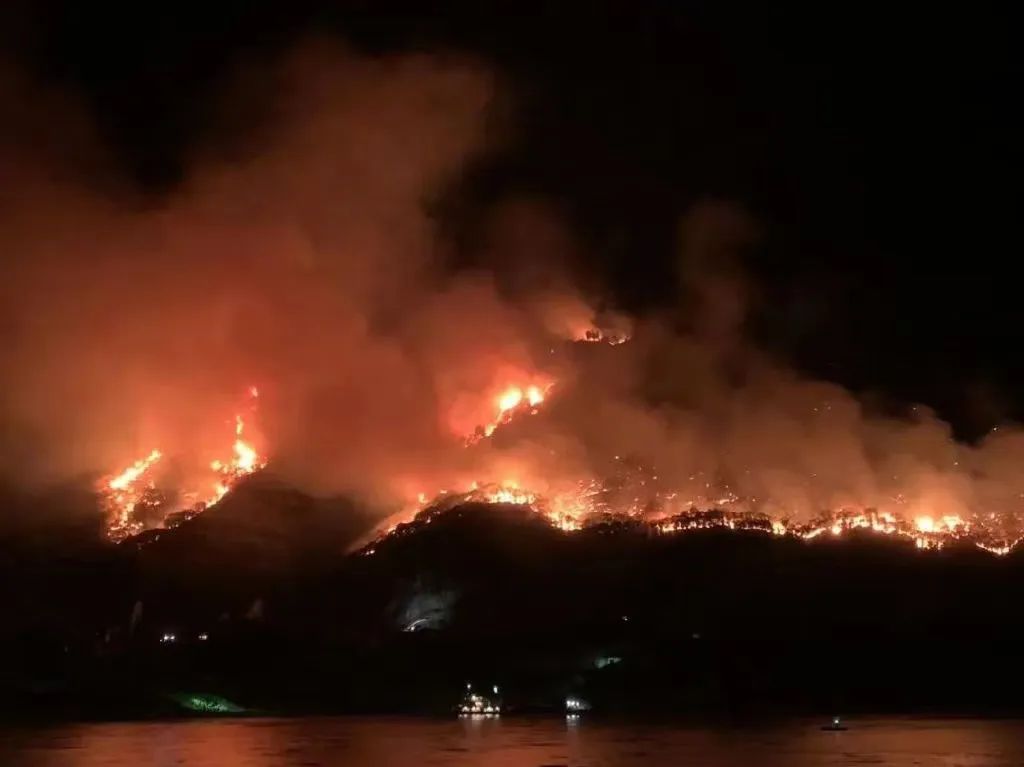 1661938457829642.jpg 640 (7).jpg