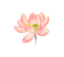 640.gif