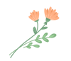 640.gif