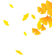 640.webp (9).png