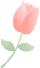 640.webp (14).png