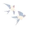 640.gif