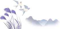 640.webp (19).png