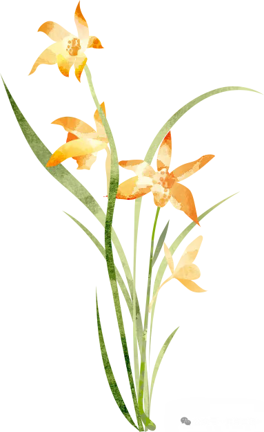 640.webp (29).png