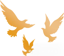640.webp (15).png