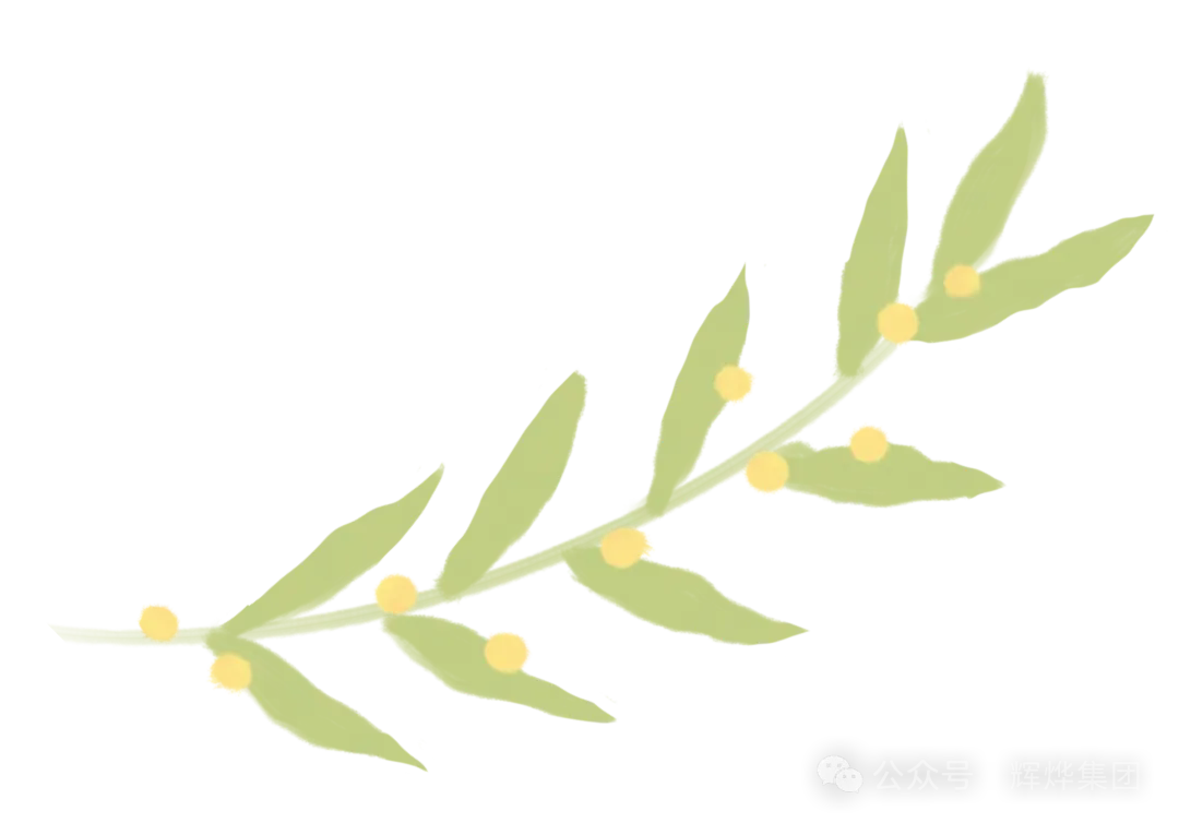 640.webp (1).png