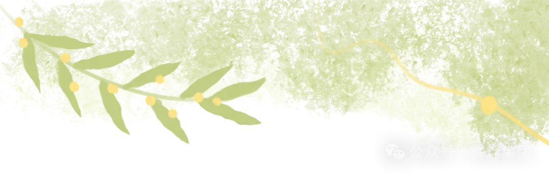 640.webp.png