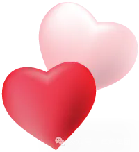 640.webp (6).png