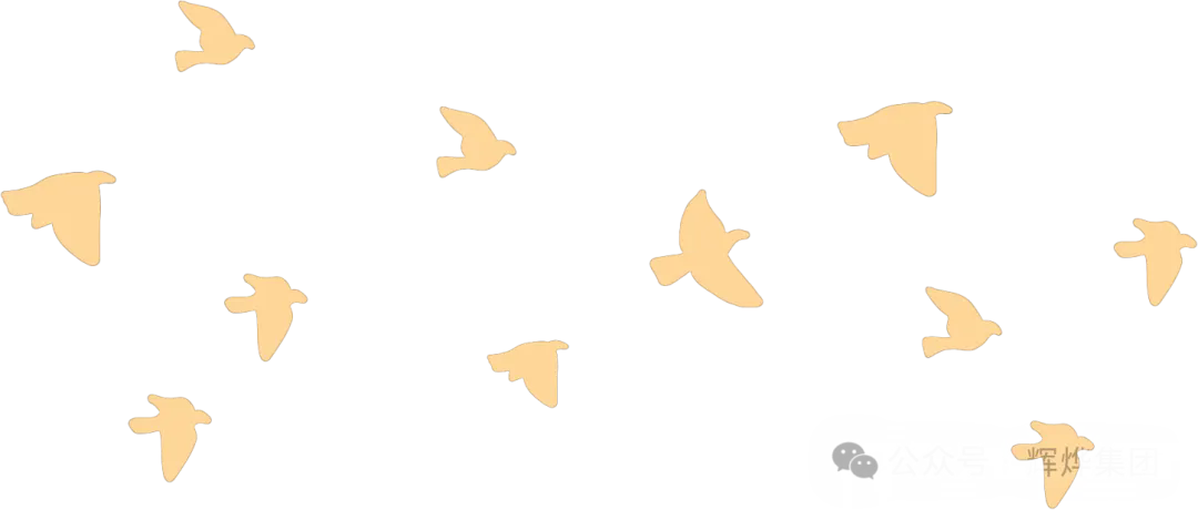 640.webp (15).png