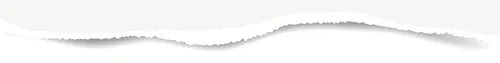 640.webp (27).png