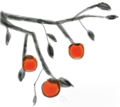640.webp (23).png