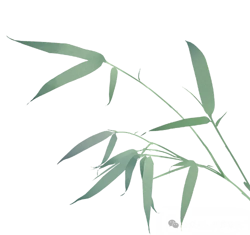 640.webp (3).png