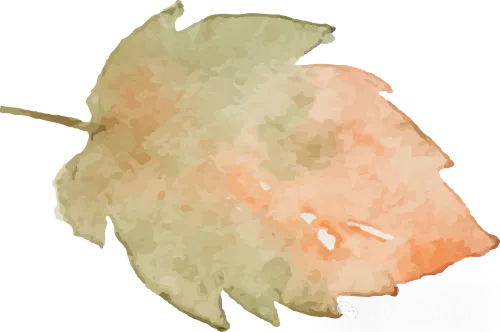 640.webp (18).png