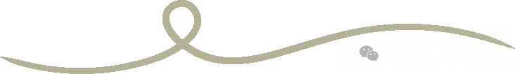 640.webp (26).png