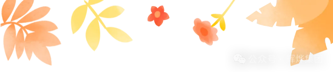 640.webp (11).png