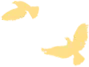 640.webp (2).png