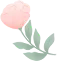 640.webp (19).png