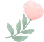 640.webp (2).png