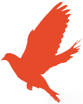 1752802580288655.png 640.webp (4).png