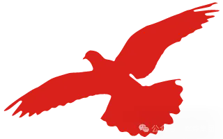 1752802599480531.png 640.webp (3).png