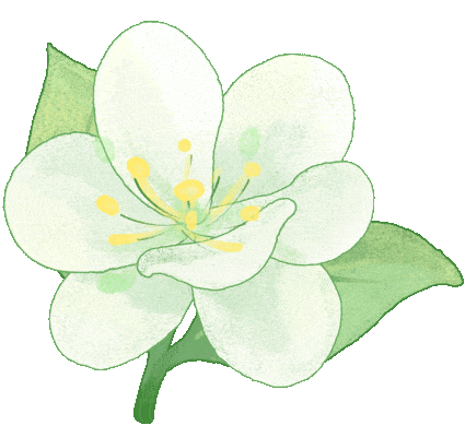 1753495587111230.gif 640.gif