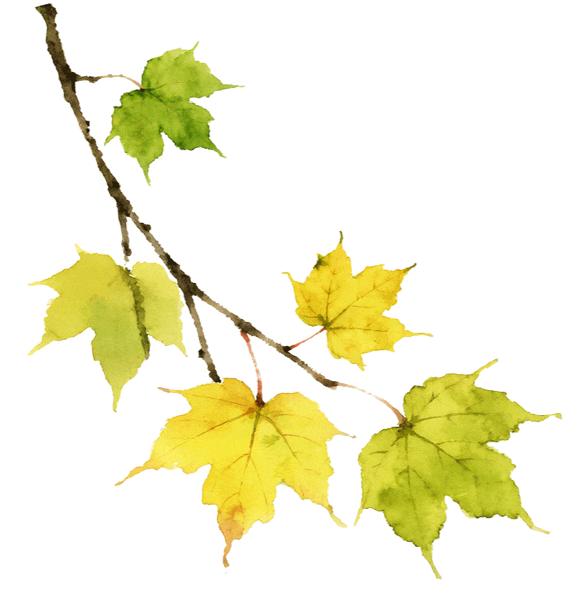 1754616645682866.gif 640.gif