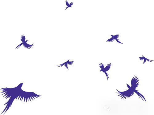 1756537193491605.png 640.webp (7).png