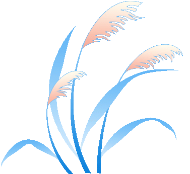 1758508137359628.gif 640.gif