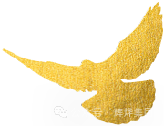 1759978706825314.png 640.png