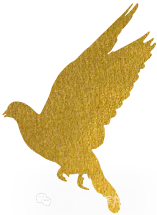 1759979072286212.png 640 (2).webp (5).png