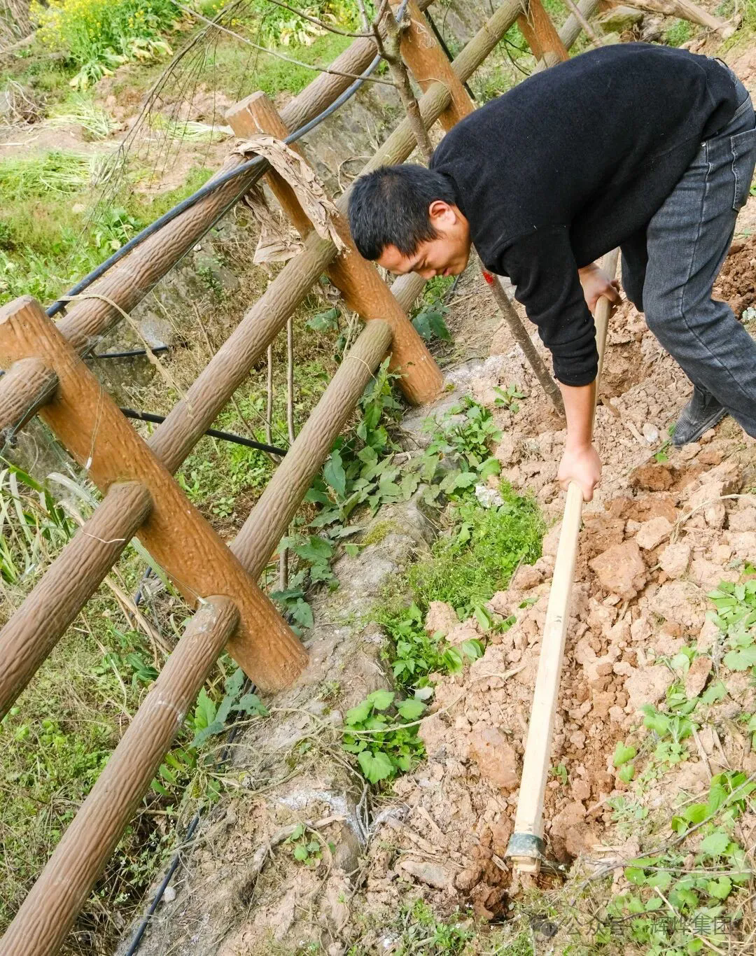 1773647552200045.png 640.webp (6).png