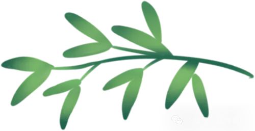 1782958645349684.png 640.webp (15).png
