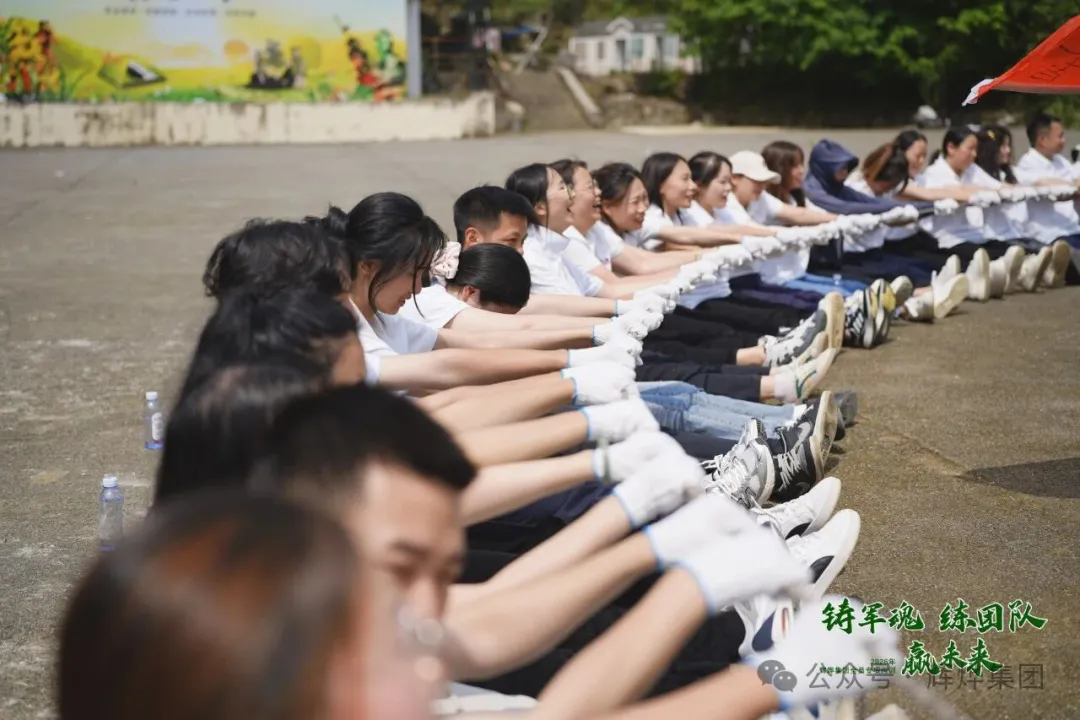 1782962965110145.png 640 (1).webp (8).png